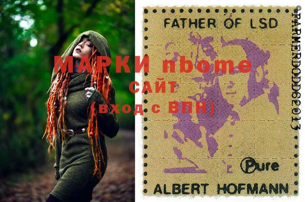 гидра Тавда