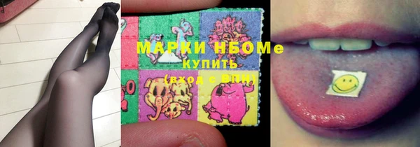 стафф Тайга