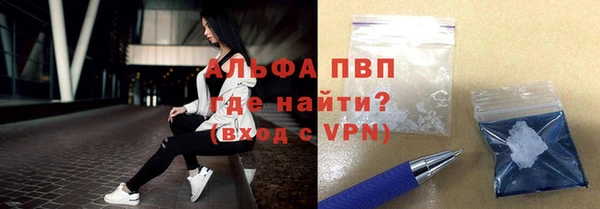 гидра Тавда