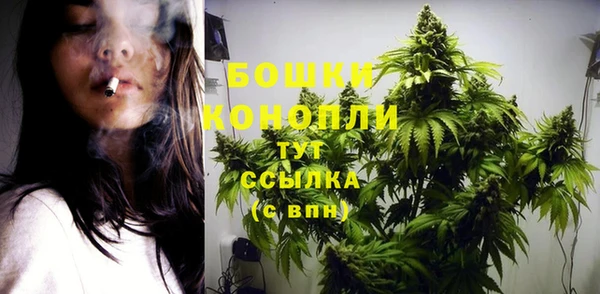 стафф Тайга