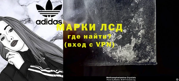 стафф Тайга