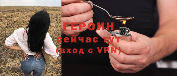 гидра Тавда