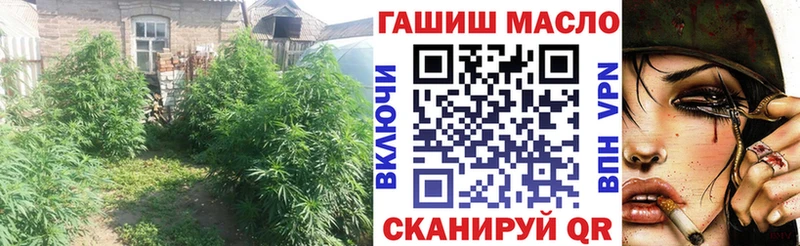 Купить  Камбарка  Дистиллят ТГК гашишное масло 